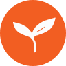 icon environment